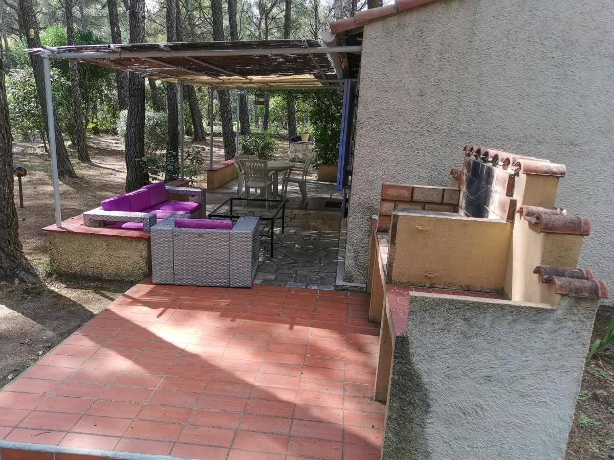 Maisonnette En Pleine Nature Le Beausset Exteriör bild