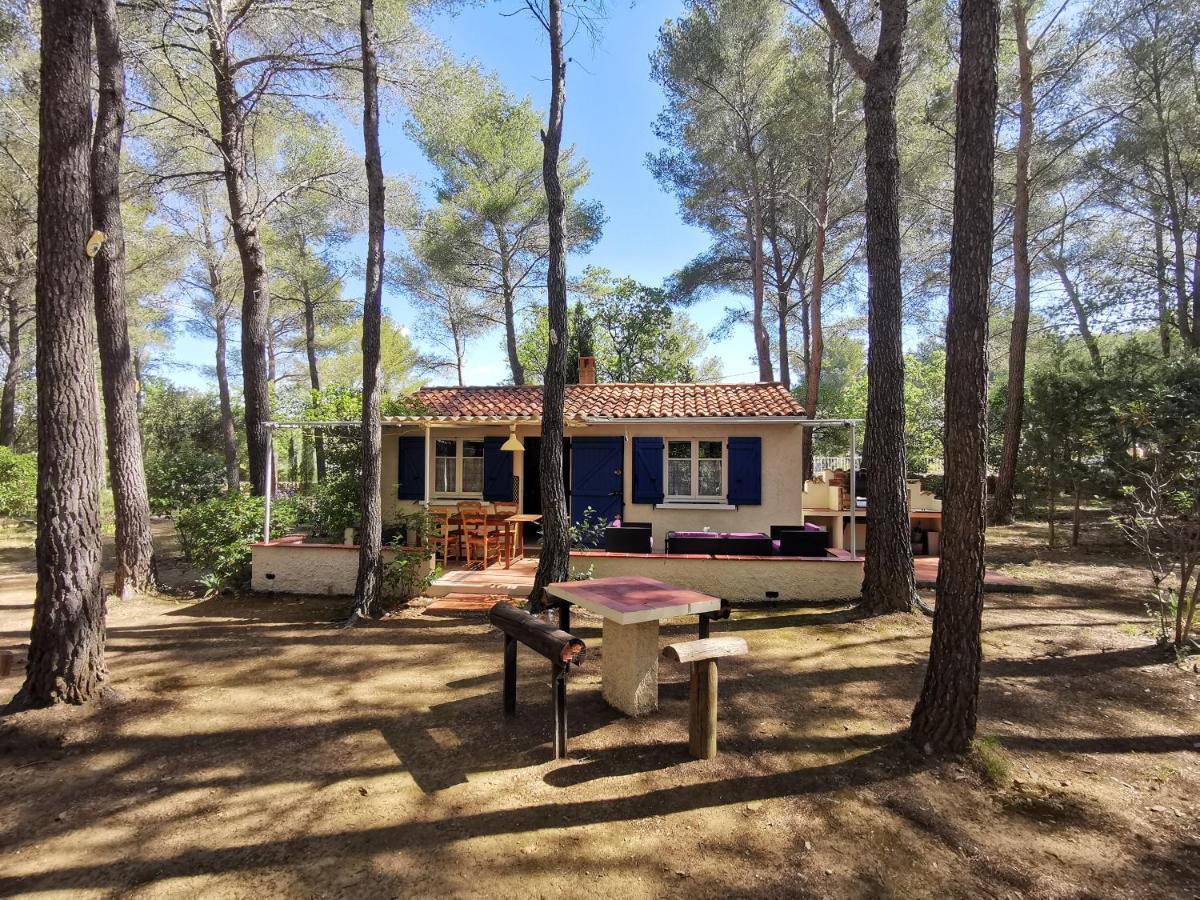 Maisonnette En Pleine Nature Le Beausset Exteriör bild